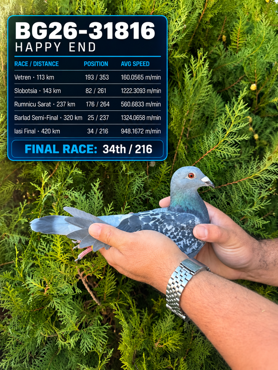 34th Place – BG26-31816 – HAPPY END