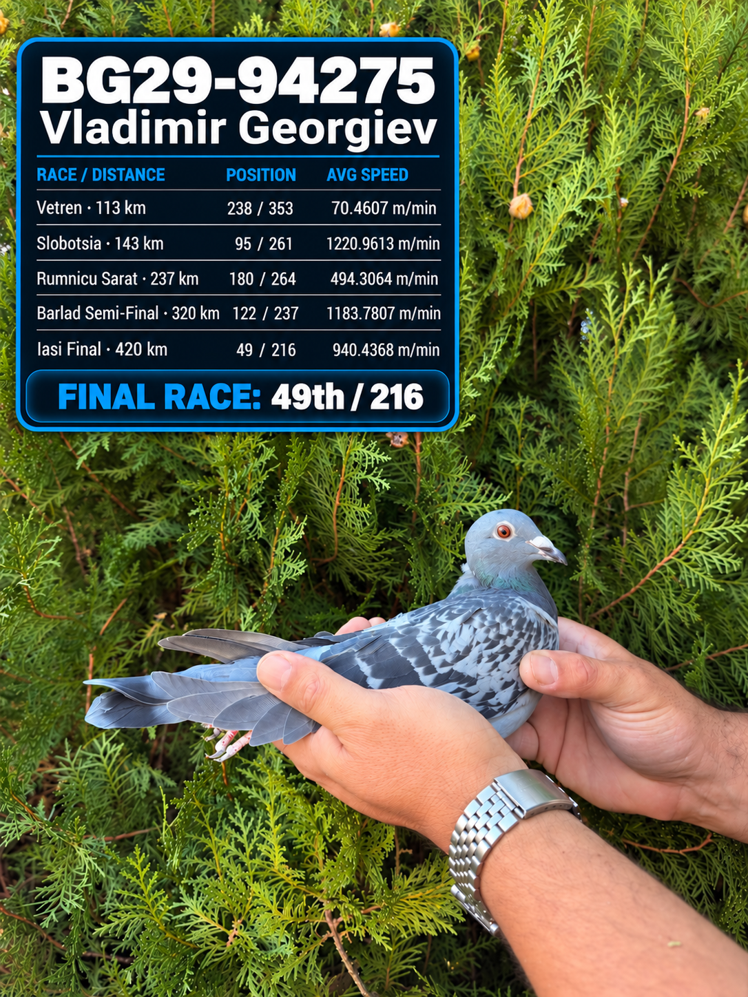 49th – BG26-94275 – Vladimir Goergiev